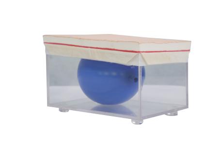 開(kāi)腹關(guān)腹訓練模型