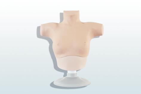 乳腺癌觸診、視診訓練模型